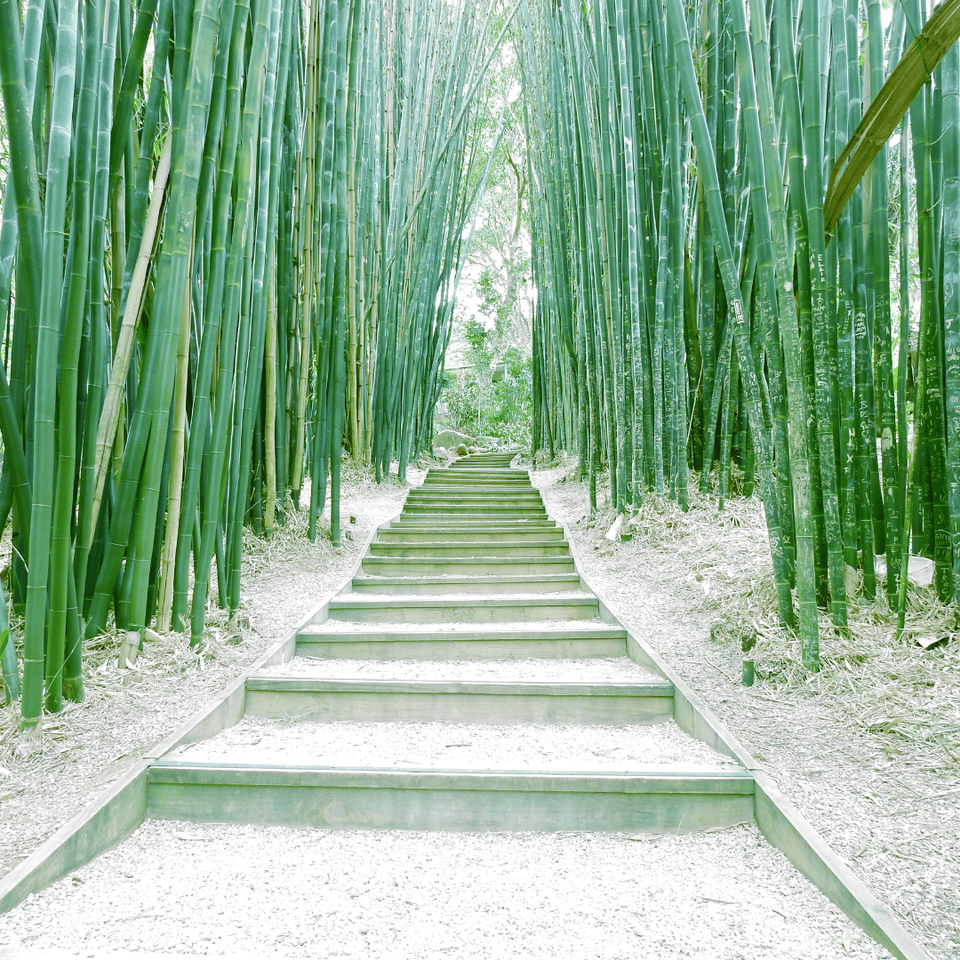 Flexibles como el bambú